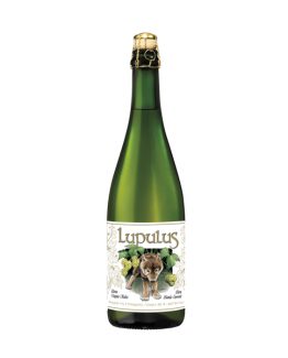 Lupulus blonde